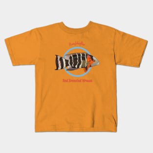 Red Breasted Wrasse Kids T-Shirt